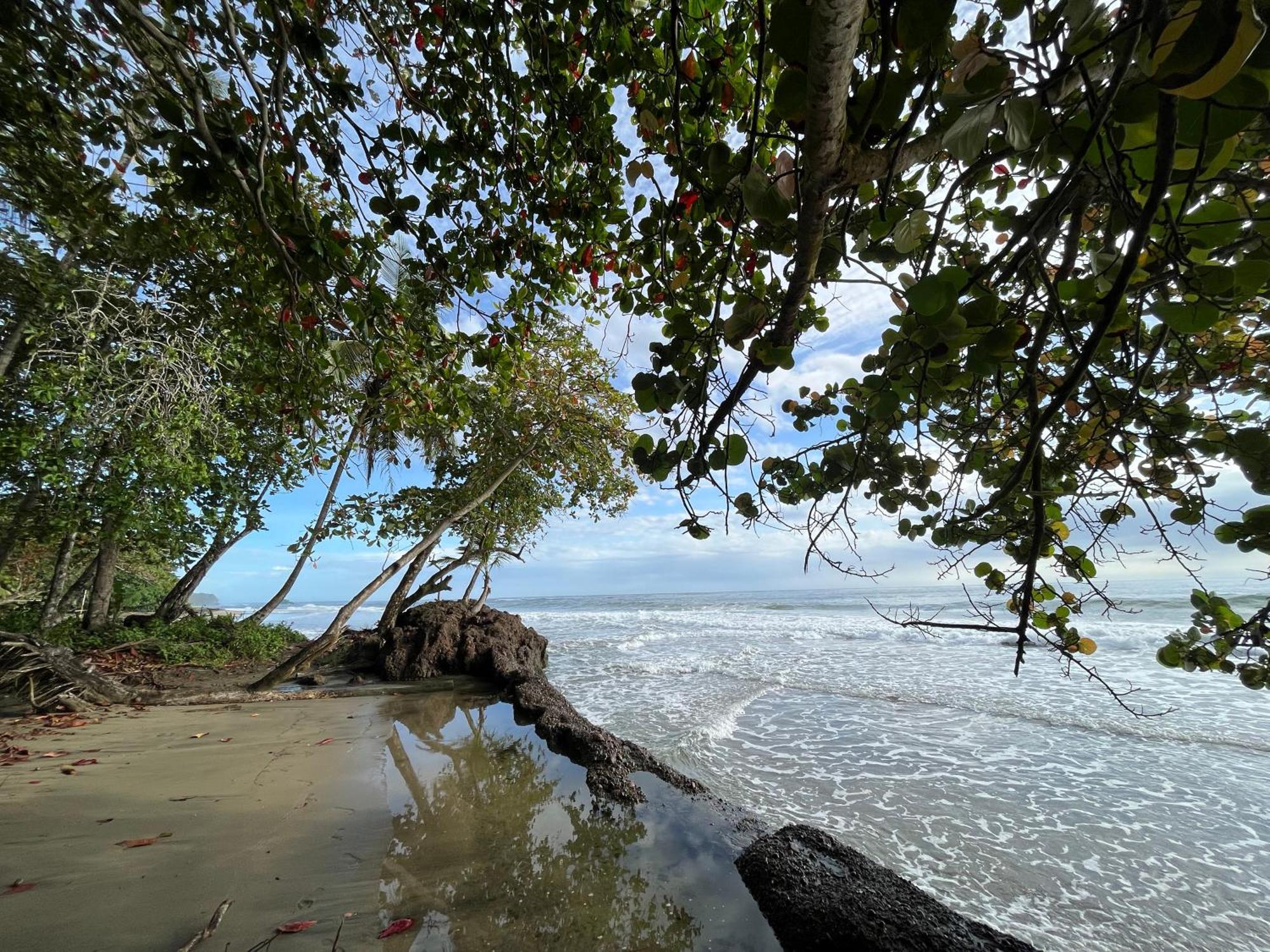 Namu Garden Hotel & Spa (Adults Only) Puerto Viejo de Talamanca ภายนอก รูปภาพ
